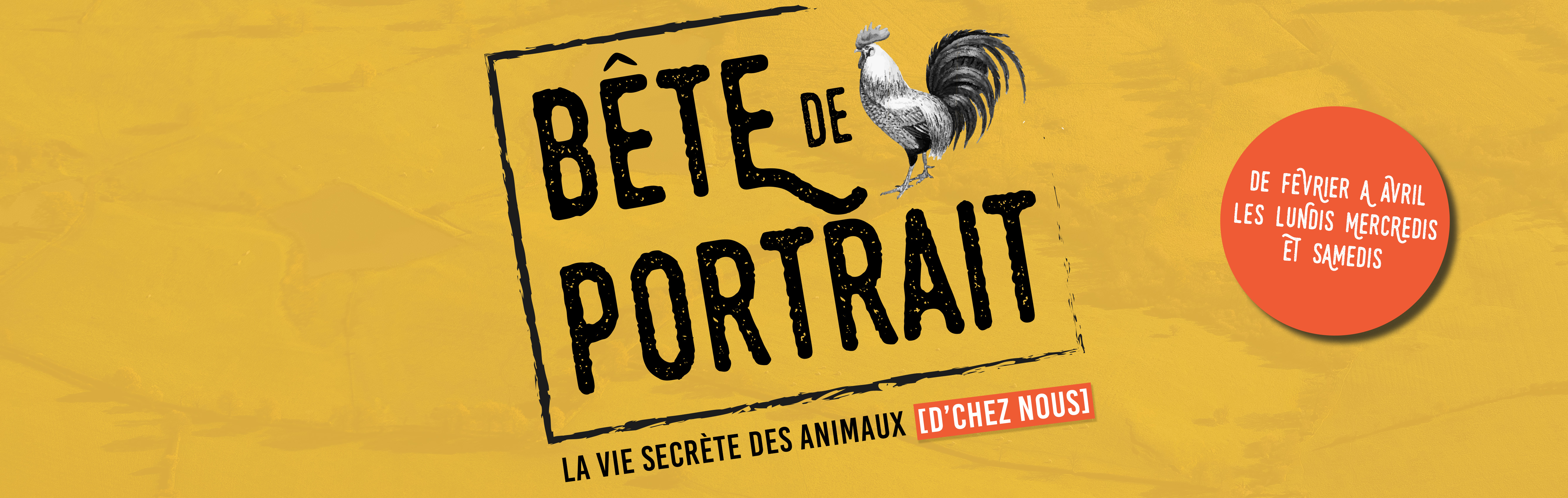 Bête de portrait, la vie secrète des animaux d’chez nous !